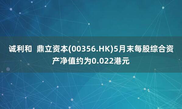 诚利和  鼎立资本(00356.HK)5月末每股综合资产净值约为0.022港元