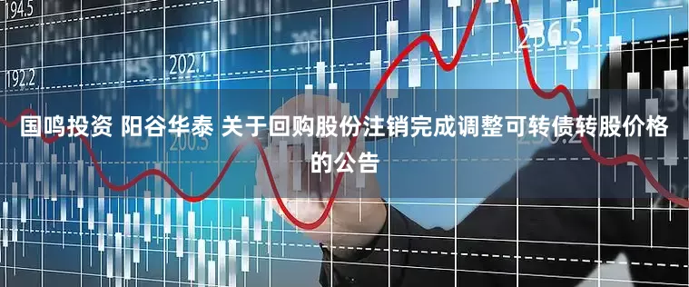 国鸣投资 阳谷华泰 关于回购股份注销完成调整可转债转股价格的公告
