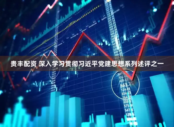 贵丰配资 深入学习贯彻习近平党建思想系列述评之一