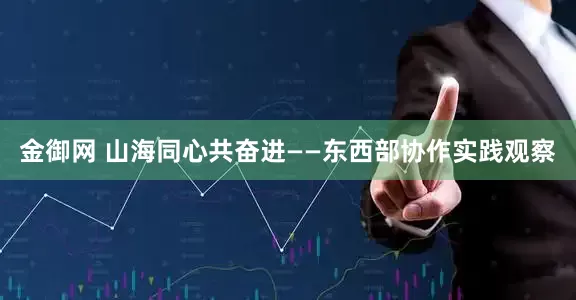 金御网 山海同心共奋进——东西部协作实践观察